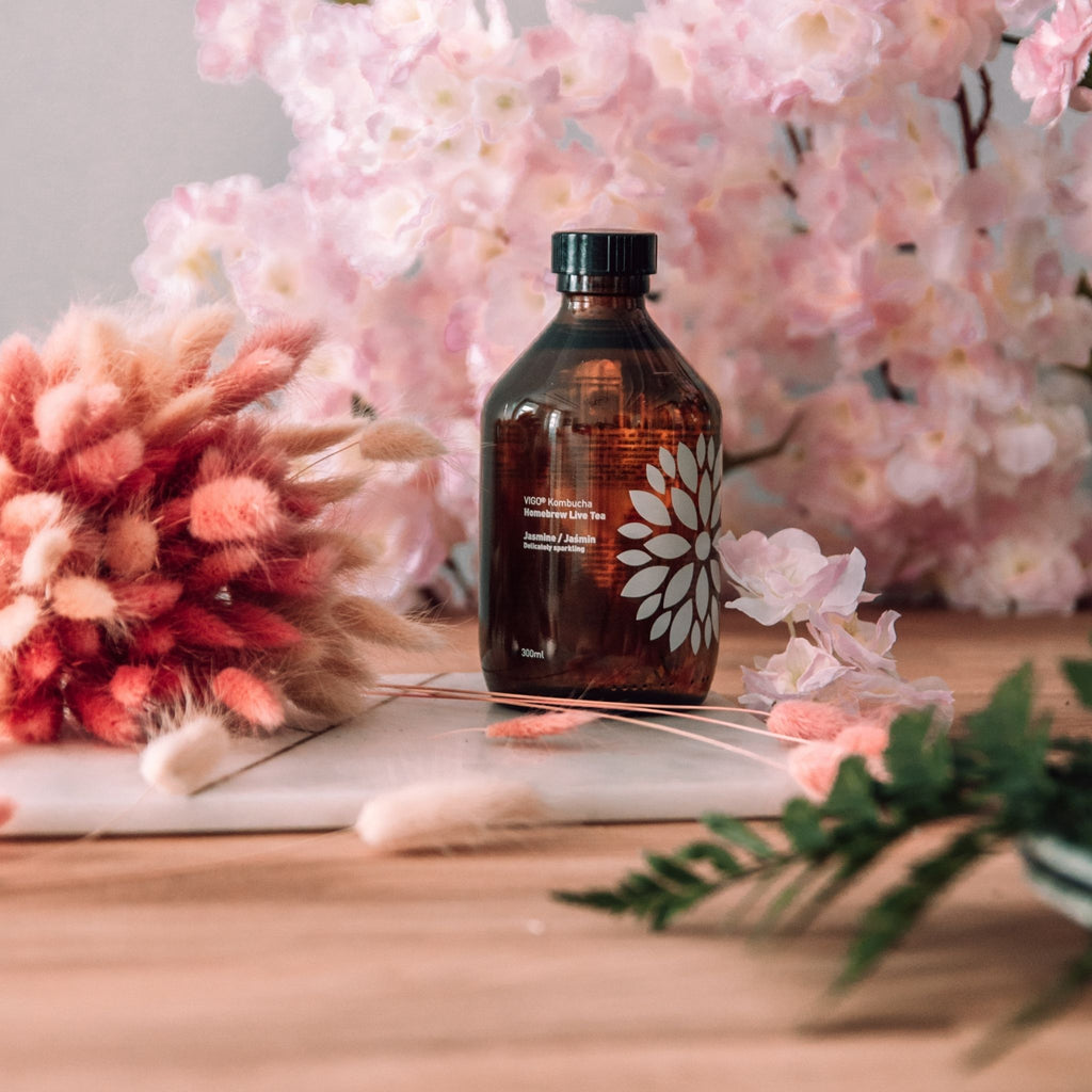 Vigo Kombucha (Paket 8 kosov)