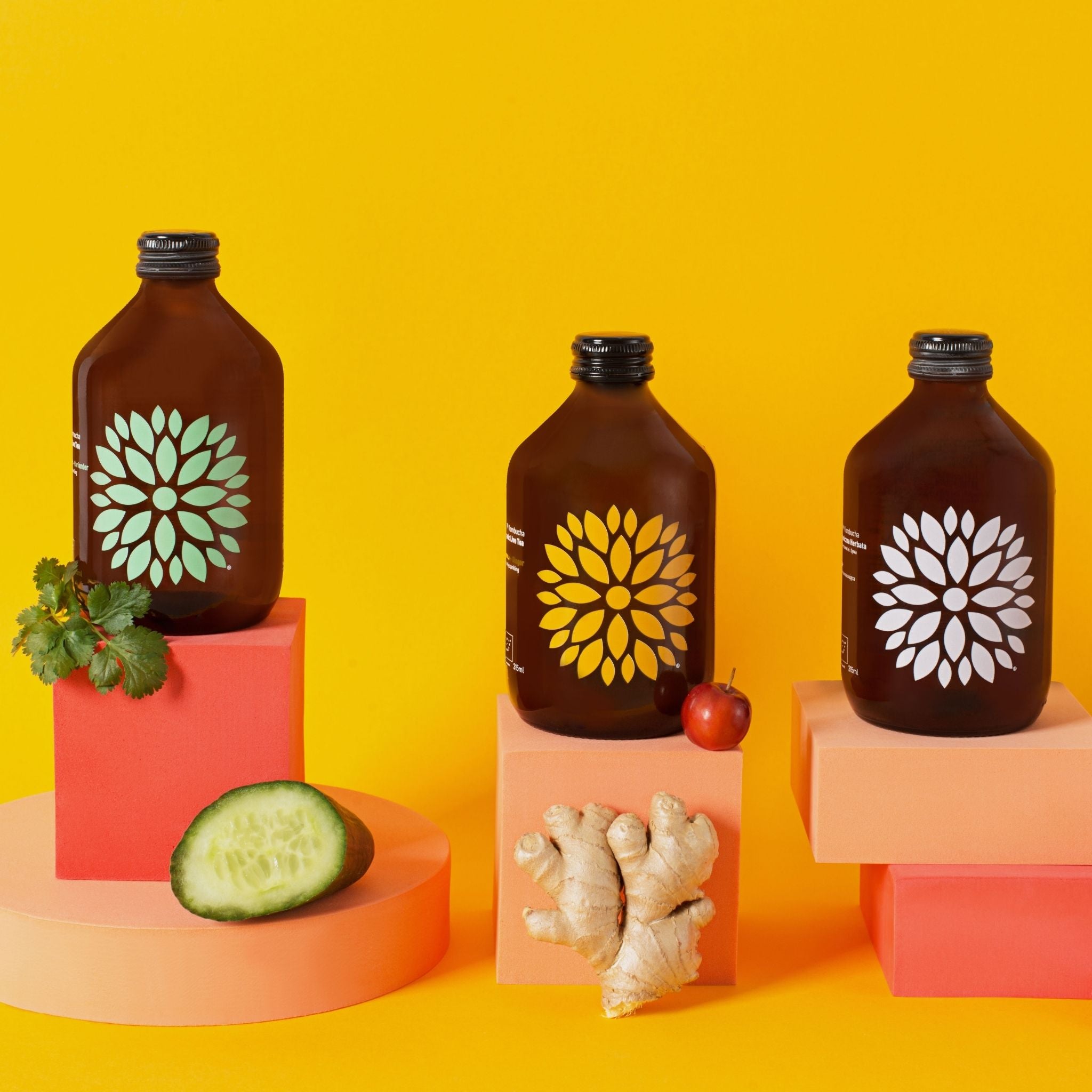 Vigo Kombucha (Paket 8 kosov)