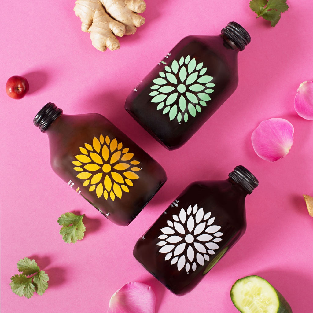 Vigo Kombucha (Paket 8 kosov)
