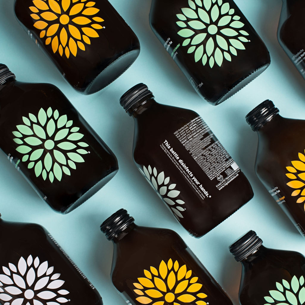 Vigo Kombucha (Paket 8 kosov)