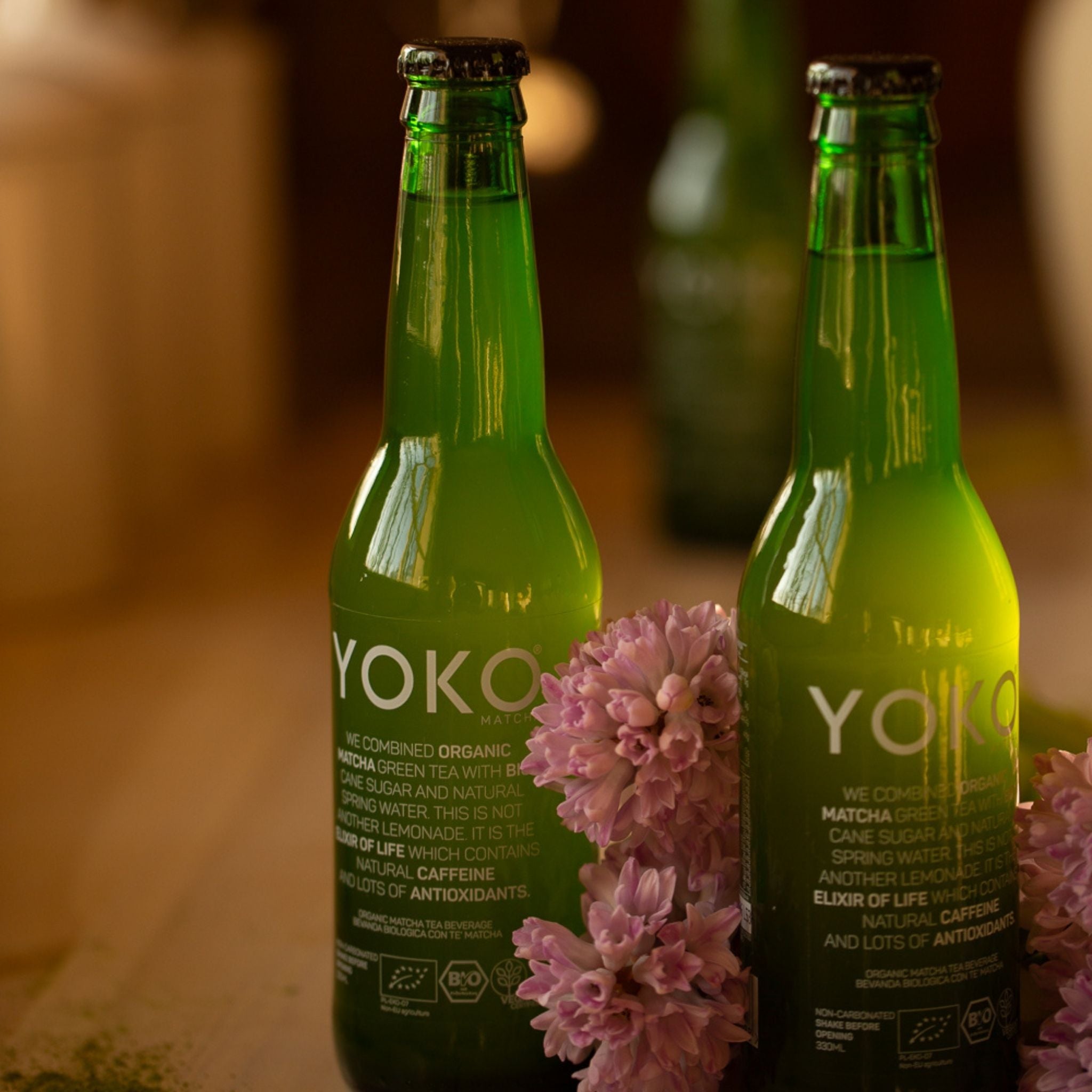 YOKO Matcha BIO – napitek z matcha čajem 330ml (Paket 8 kosov)
