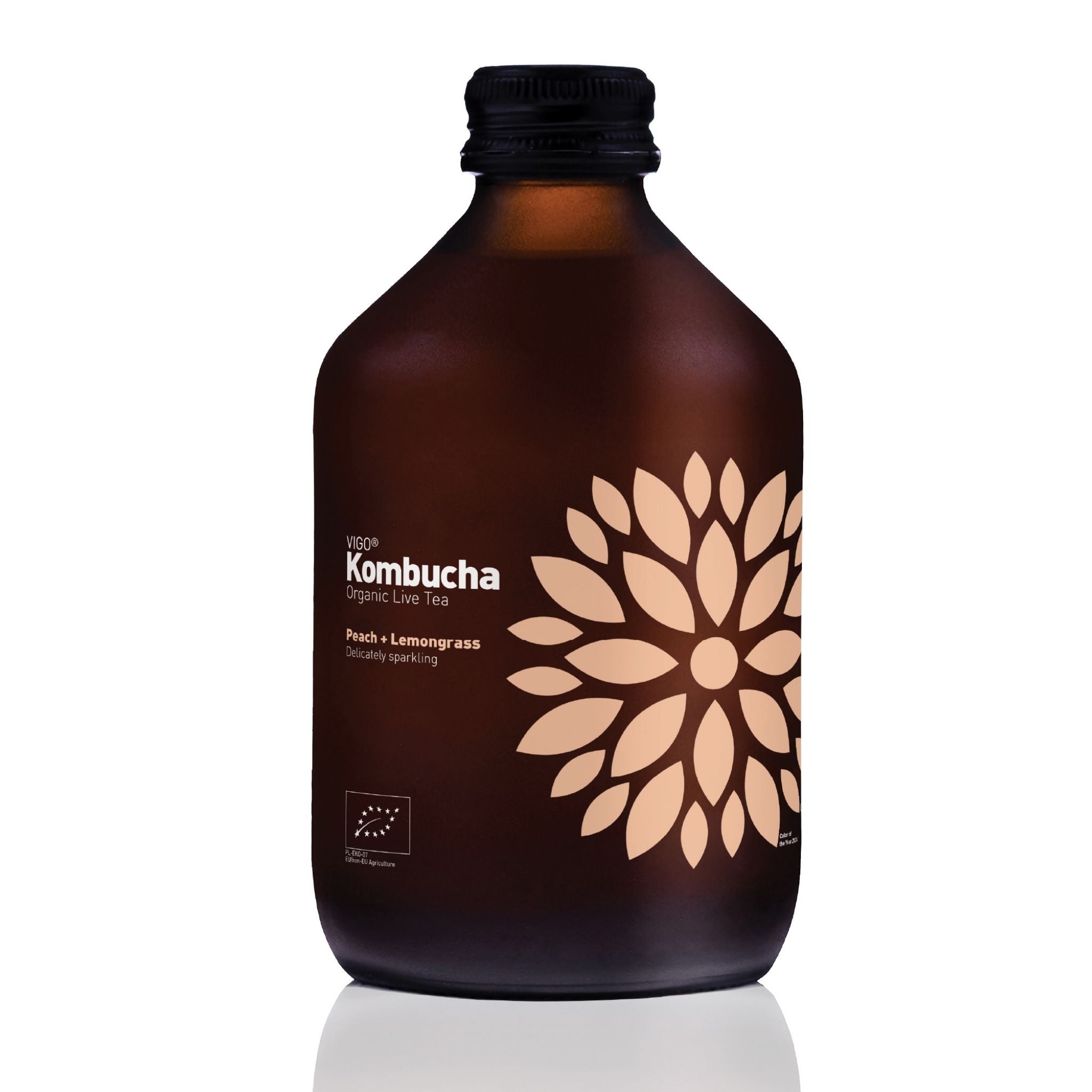 Vigo Kombucha (Paket 8 kosov)