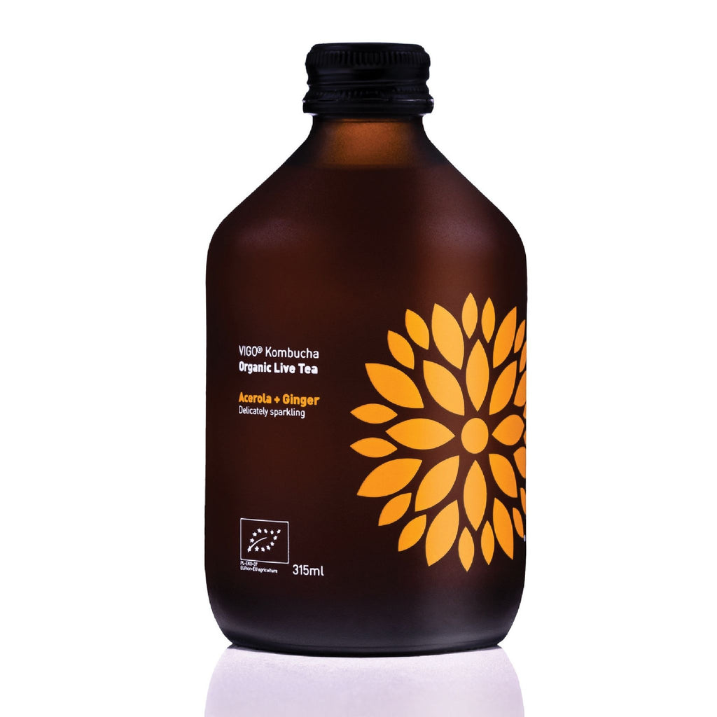 Vigo Kombucha (Paket 8 kosov)
