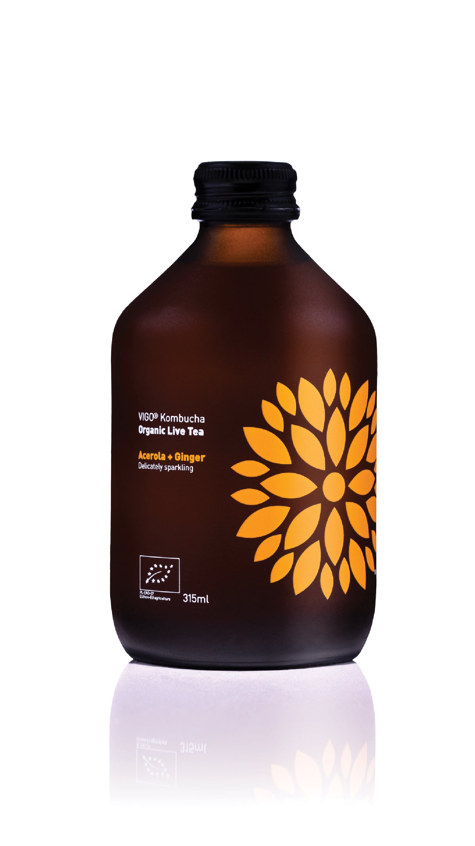 Vigo kombucha
