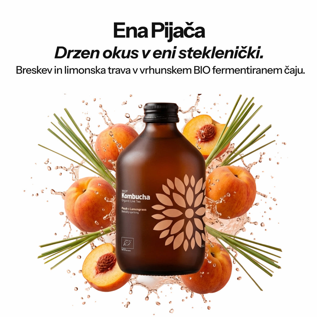 Vigo Kombucha (Paket 8 kosov)