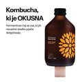 Vigo Kombucha (Paket 8 kosov)