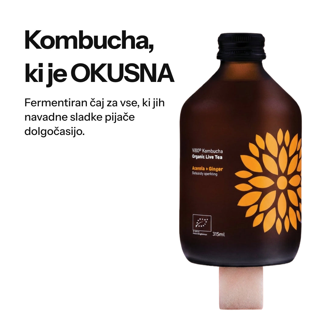 Vigo Kombucha (Paket 8 kosov)