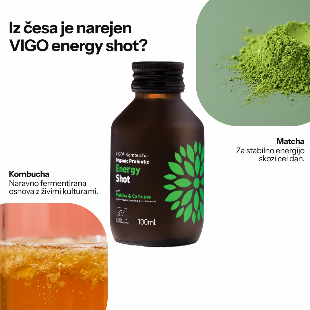 Vigo Shots (Paket 12 kosov)