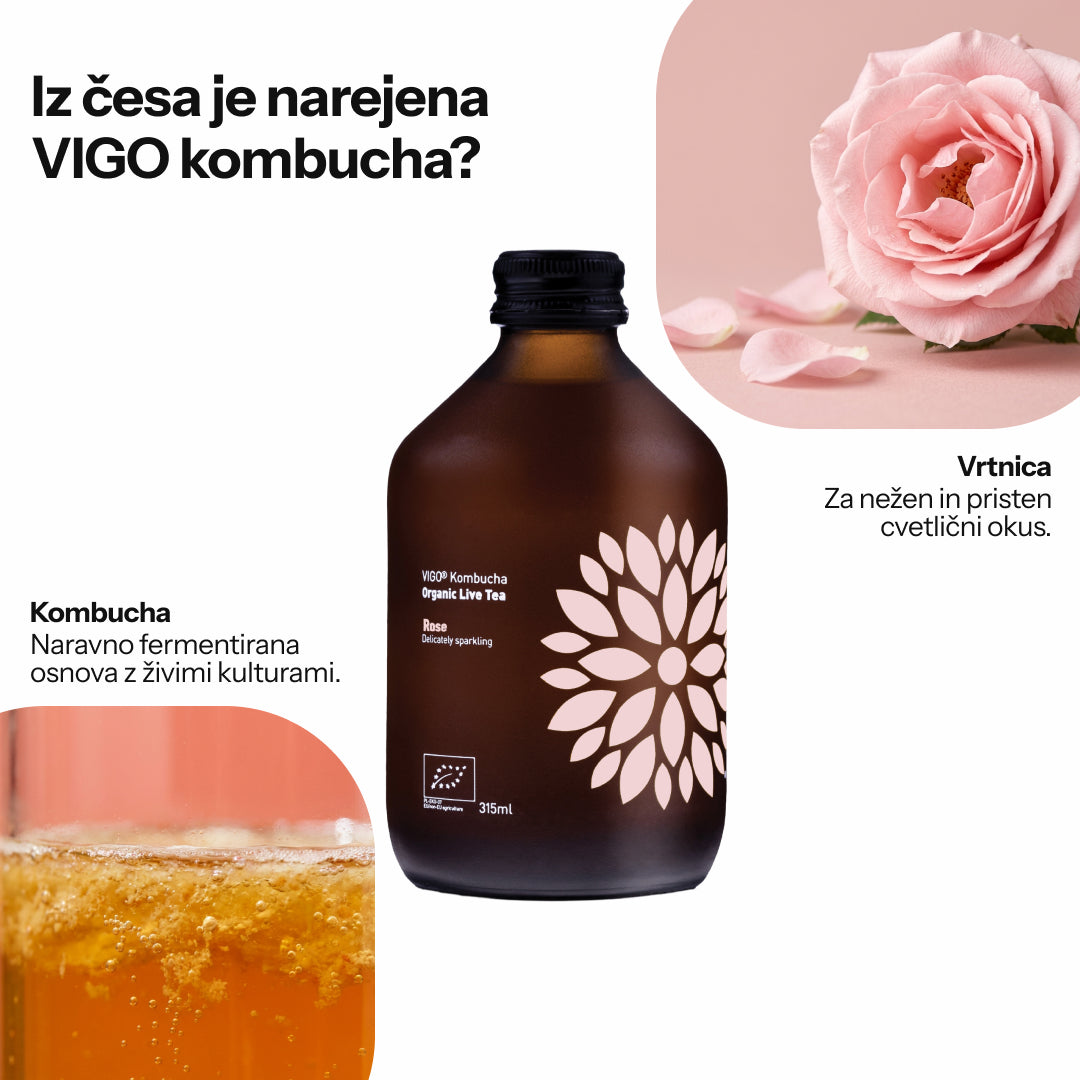 Vigo Kombucha (Paket 8 kosov)