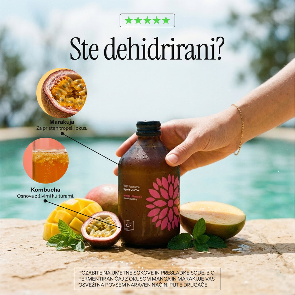 Vigo Kombucha (Paket 8 kosov)