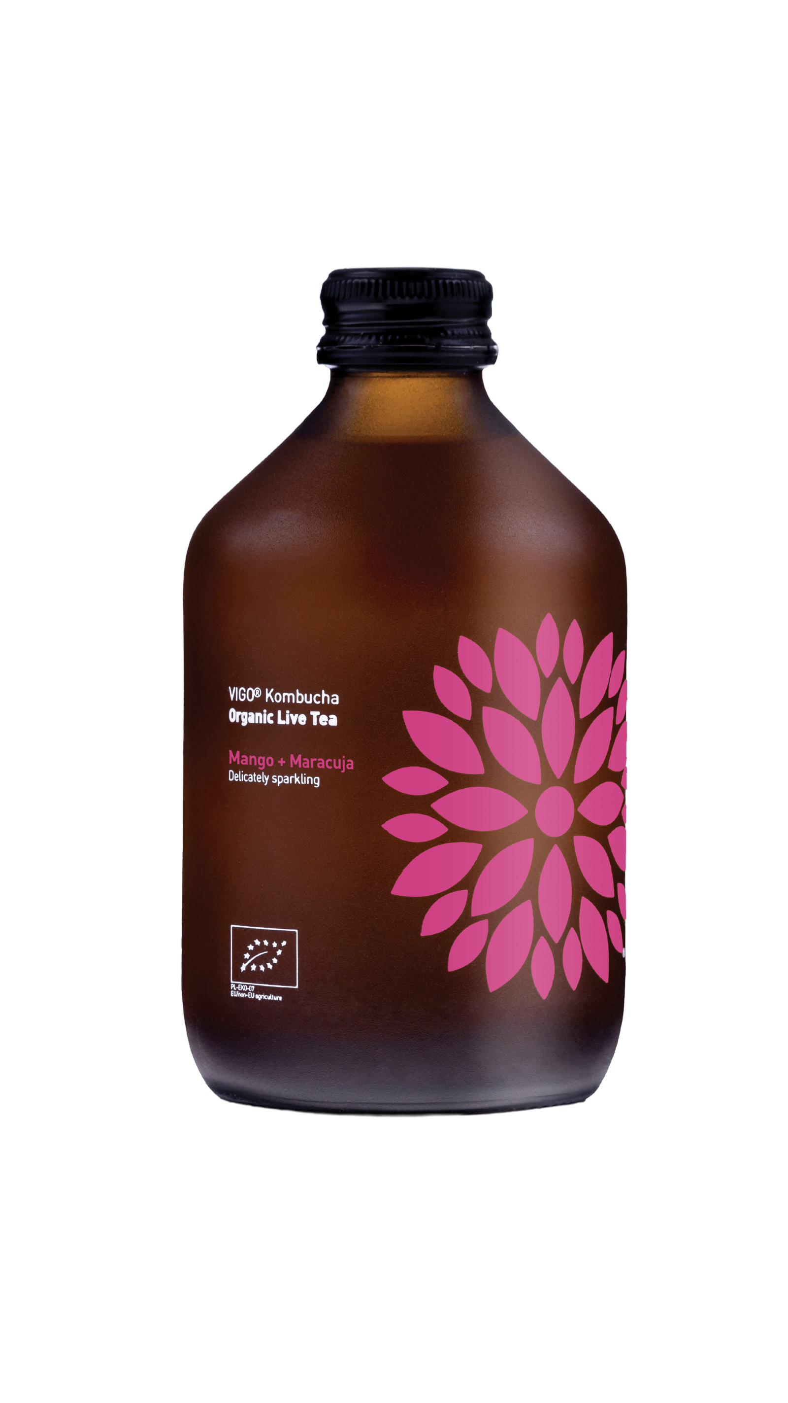 Vigo kombucha