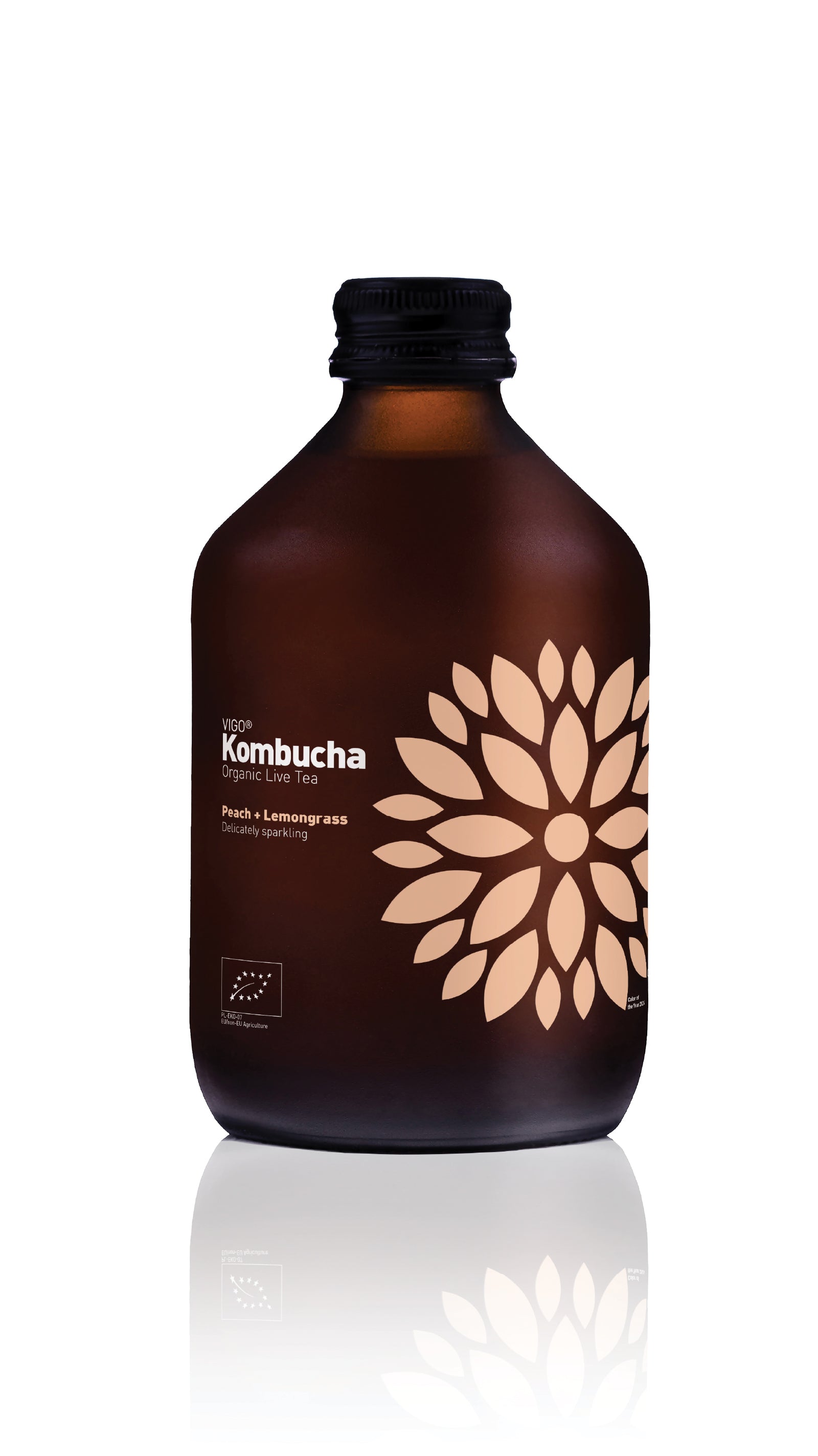 Vigo kombucha