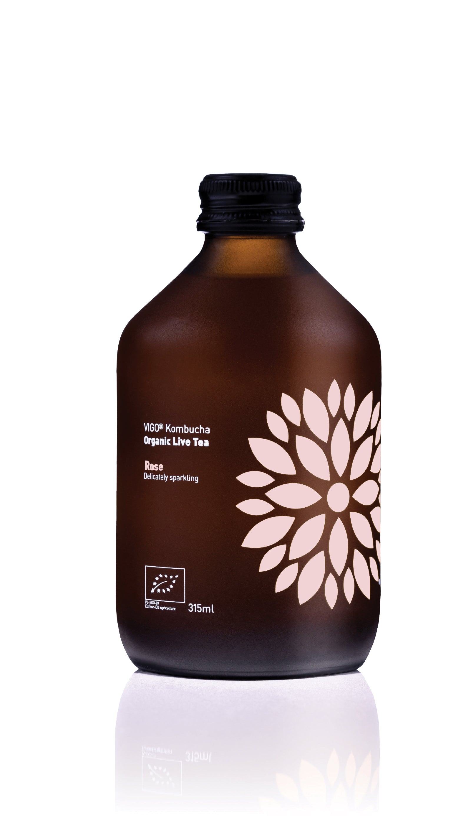 Vigo kombucha